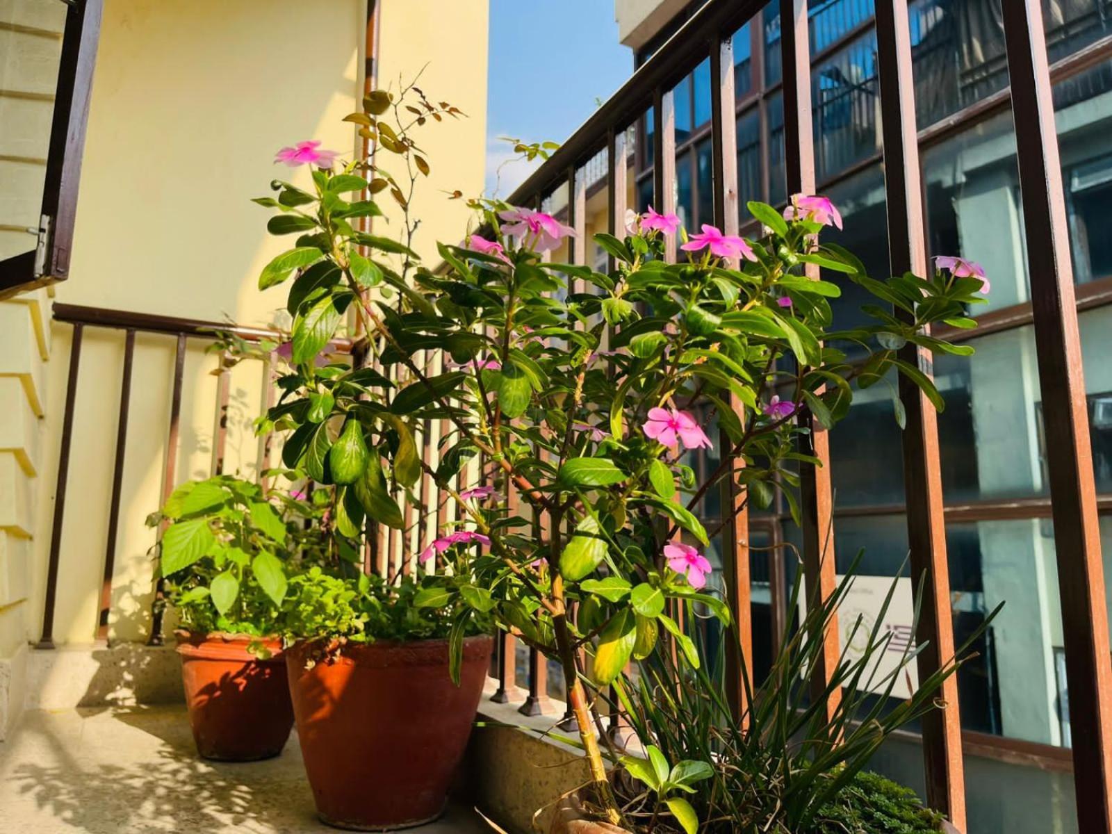 Holy Land Hotel Nepal Kathmandu Exterior foto